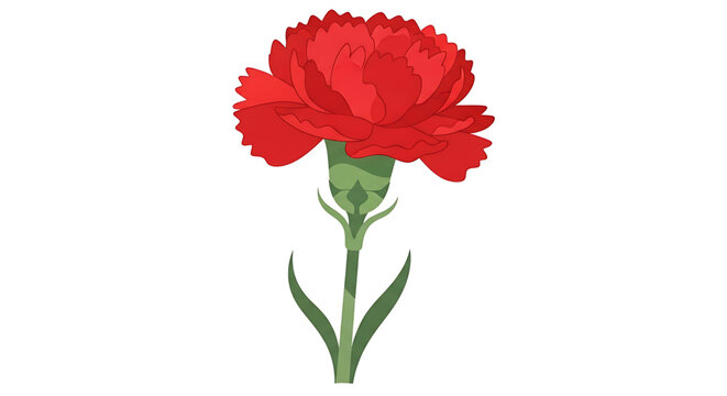 A vibrant red carnation flower icon with green stem and leaves on a white background