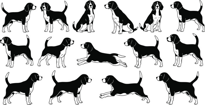 Beagle Dog Vector Silhouette Set Collection Featuring Various Poses Like Running Sitting Standing And Jumping For Pet Graphic Design Elements