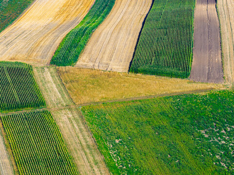 Aerial view of patterned fields create a patchwork quilt of textures and tones, where golden crops meet vibrant greens under the Polish sky, Milawczyce, Swietokrzyskie Voivodeship, Poland.