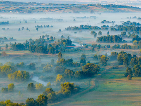 Aerial view of mist-laden fields and forests, with a winding Nida river snaking through the landscape, painting a serene tableau of nature's beauty, Motkowice, Swietokrzyskie Voivodeship, Poland.