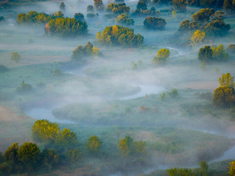 Aerial view of the serpentine Nida river meanders gracefully through a misty landscape, kissed by the golden light of dawn, , Motkowice, Swietokrzyskie Voivodeship, Poland.