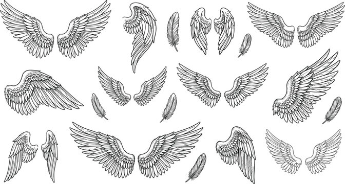 Intricate black and white wings, angel feathers, fantasy illustration, spiritual tattoo design, artistic detailed feather drawings, symbolic decorative artwork