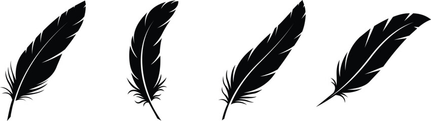 Bird feather icon set in flat style, black quill feather silhouette pen symbols vector illustration © Rana Graphic