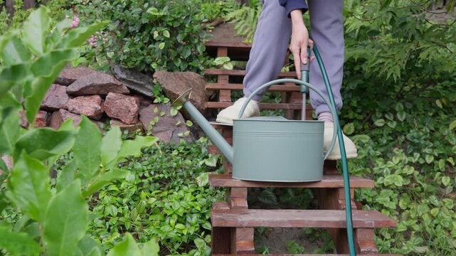 Young woman watering sustainable rock garden with a metal can. Authentic domestic lifestyle, mindful gardening, and eco friendly backyard maintenance concept in natural daylight.