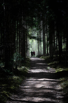 Two people walking along a dark forest path toward light