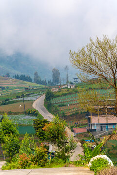 Beautiful landscape of the Dieng plateau, Wonosobo, Central Java, Indonesia