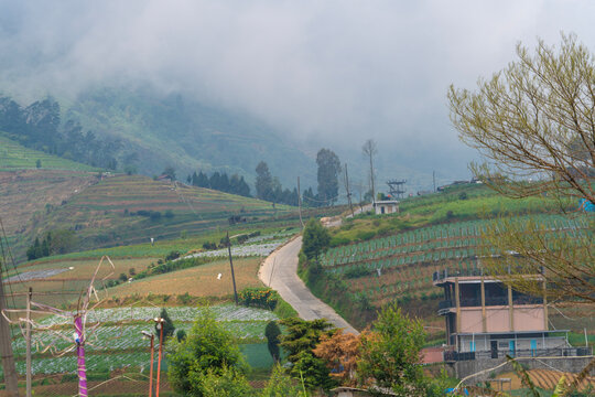 Beautiful landscape of the Dieng plateau, Wonosobo, Central Java, Indonesia