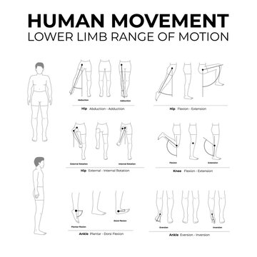 human movement lower limb range of motion flat line illustration set