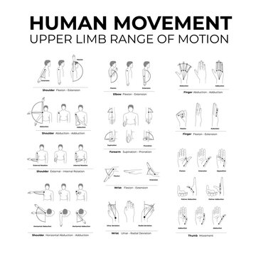 human movement upper limb range of motion flat line illustration set