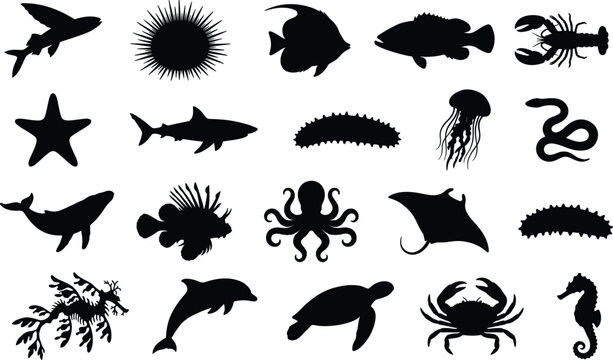 Sea animal silhouettes collection featuring ocean creatures including shark whale octopus jellyfish starfish crab and fish isolated on white background vector illustration set