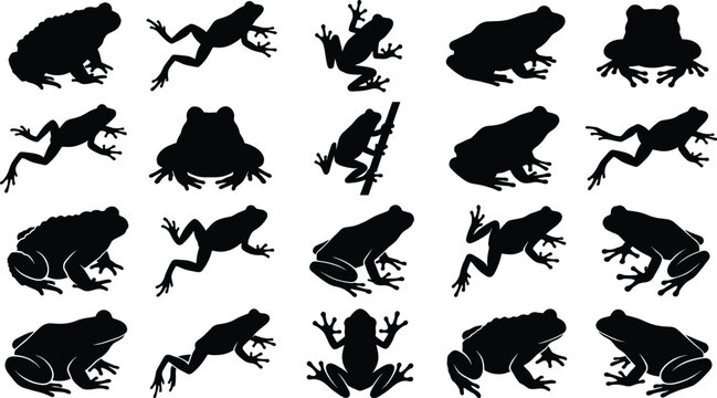 Frog silhouettes collection featuring various jumping sitting and crawling amphibian poses wildlife animal design elements isolated on white background vector illustration set