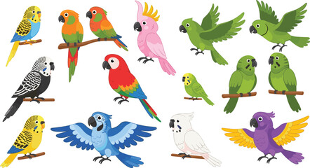 Parrot cartoon character set vector illustration featuring colorful parrots cockatoo macaw budgerigar birds in different poses tropical wildlife collection isolated on white background © Aminul