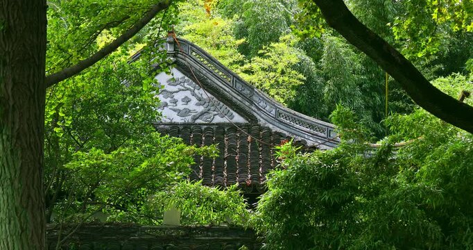 The ancient Jiangnan-style architecture, with its white walls and black tiles, is nestled among lush green trees and drooping willows.