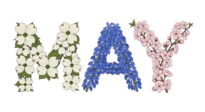 A floral vector graphic illustration of the word MAY with colorful flowers and leaves on a white background