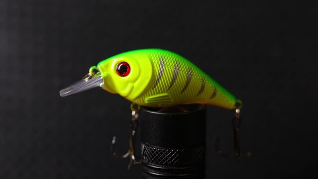 Fishing wobblers for predatory fish of various colors and patterns