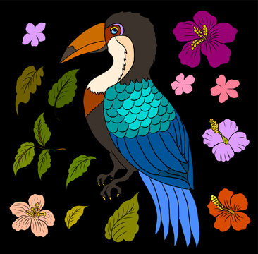 A vibrant and playful illustration of a toucan bird surrounded by tropical flowers and lush green leaves. The artwork features a stylized toucan with a large, eye catching beak and beautifully layered