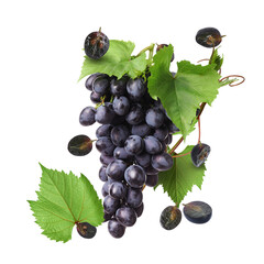 Obraz premium Fresh juicy grapes and green leaves on transparent background