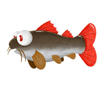 Hand drawn illustration of cute catfish with round eyes