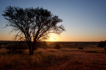 Fototapeta premium Sonnenuntergang in der Kalahari