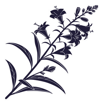 angelonia silhouette on white background