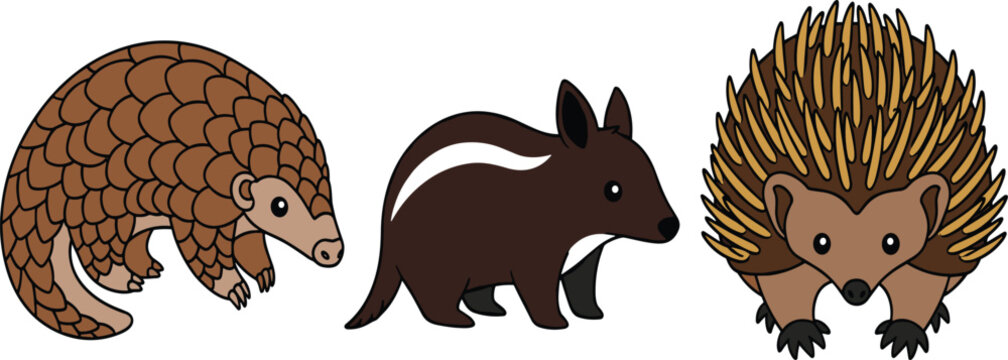 Cute Australian Wildlife Animal Set Featuring Pangolin, Numbat, and Echidna Cartoon Style Vector Illustration for Educational, Nature, and Kids Design Projects.