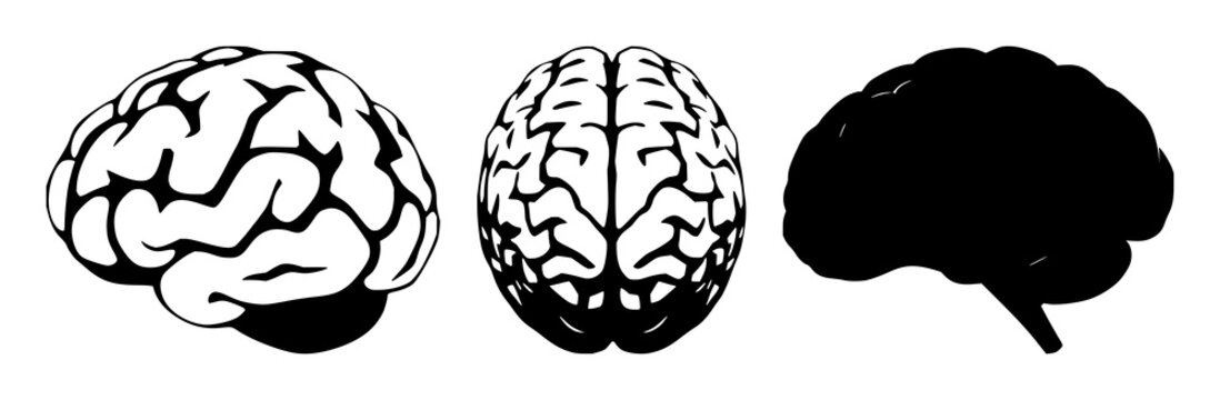 Brain silhouette set with simple line art design featuring outline, illustration, graphic elements with clean design and vector art