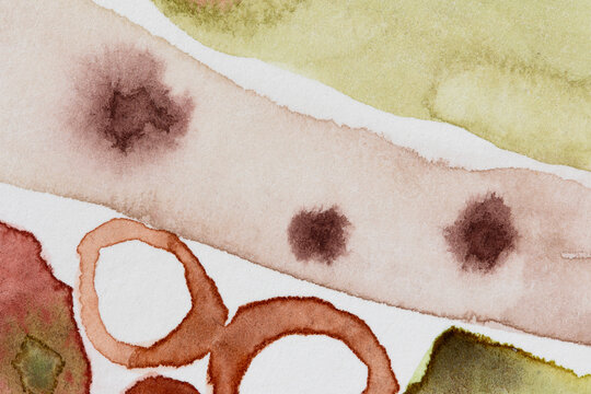 Fall inspired palette with organic nature derived patterns