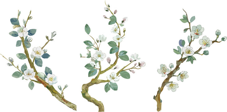 Watercolor ink chinese painting cherry blossom bold brush strokes, spring illustration asian japanese style apple plum flowers transparent isolated, water ink paint canvas vector decoration collection