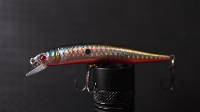 Fishing wobblers for predatory fish of various colors and patterns