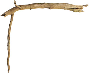 Obraz premium Weathered driftwood log with twisted trunk