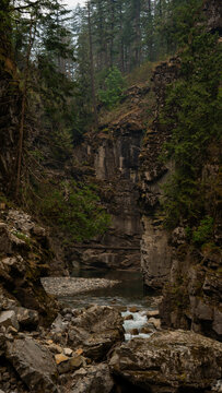 river in the forest in canada bc
