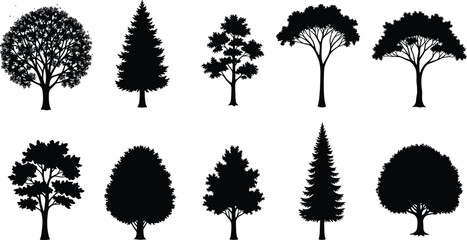 Fototapeta premium Tree silhouettes collection, forest nature elements, different tree shapes vector, black botanical icons, landscape design resources, isolated trees set illustration