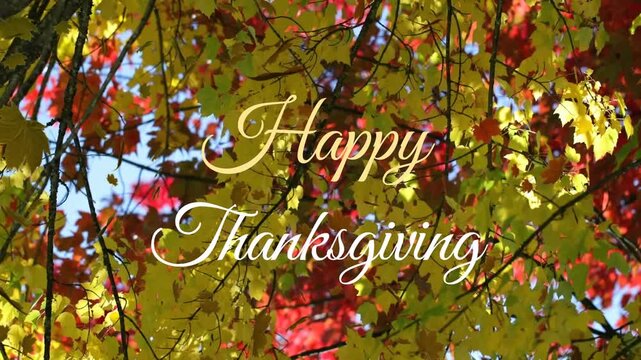 Animation of happy thanksgiving text and autumn leaves falling against low angle view of trees