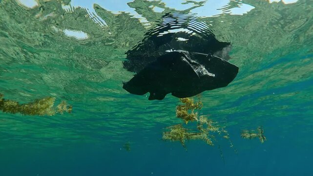 Plastic pollution of ocean, Black plastic bag with pieces of brown seaweed (Sargassum) are floating underwater is reflected on its surface, backlit, underwater footage