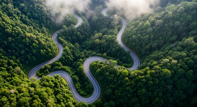 Aerial view of a winding road through a lush green forest with misty clouds