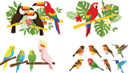Fototapeta premium Colorful tropical bird vector collection featuring toucan macaw parrot cockatoo budgie and hummingbird species with exotic jungle leaves and flowers for summer nature design projects.
