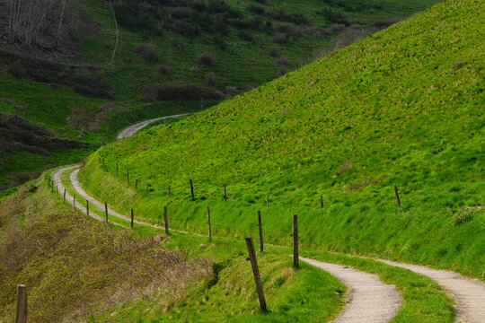 Chemin agricole serpentant &agrave; travers les p&acirc;turages d'altitude de Sainte-Marie-aux-Mines, CEA, Grand Est, France
