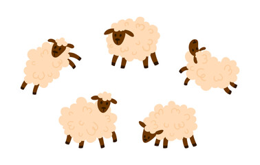 Set of cute white fluffy sheep with curly wool in different poses. Simple flat style, isolated on white. Great for farm, livestock, and nursery projects © Kseniia Kosikova
