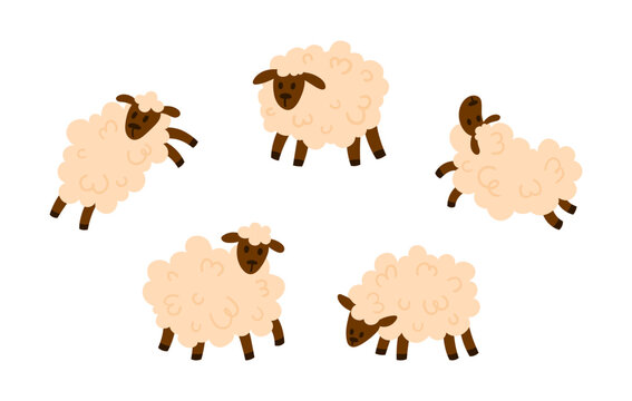 Set of cute white fluffy sheep with curly wool in different poses. Simple flat style, isolated on white. Great for farm, livestock, and nursery projects