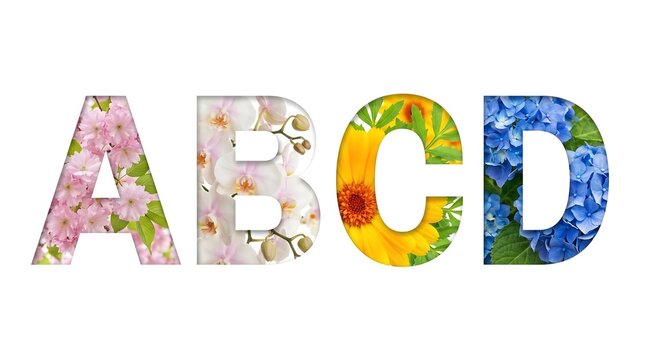 Colorful letters with floral patterns with Flower font Alphabet