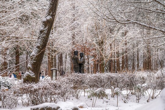 Nami Island, Gangwon Province, South Korea. The famous statues of Bae Yong-joon and Choi Ji-woo from the Korean drama series Nami Island are stunningly beautiful in winter, covered in snow.