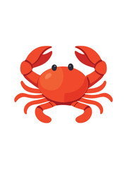 Fototapeta premium red crab isolated on clean white background top view