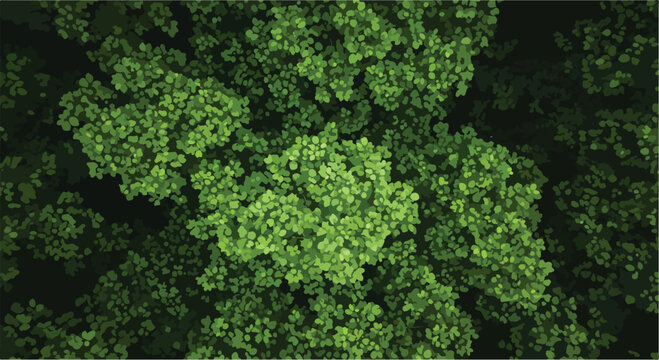Aerial View of Lush Green Tree Canopy Vector Background