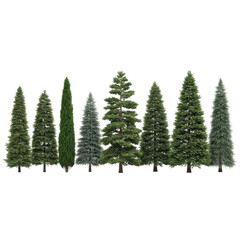 Obraz premium Forest trees collection isolated on transparent background