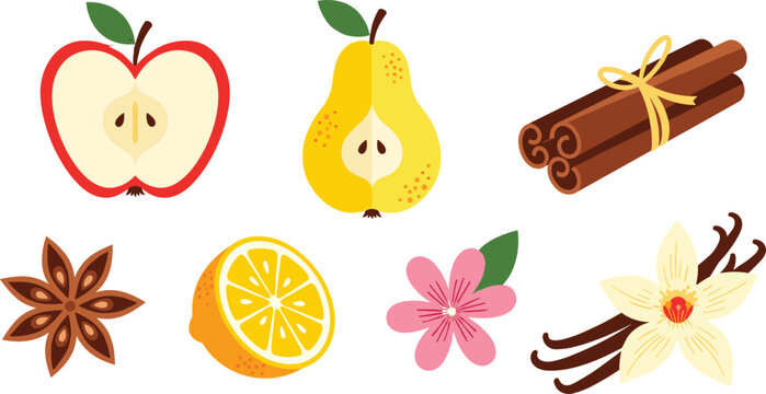  Set of fresh fruits and spices vector illustration featuring apple pear orange slice cinnamon sticks star anise vanilla and flower elements isolated on white background