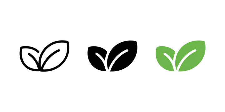 Set of three stylized leaf icons presented in outline silhouette and filled color design variations Vector