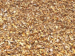 Fototapeta premium Wood chips of various sizes on the ground in a garden to form a barrier against weeds. Backgrounds
