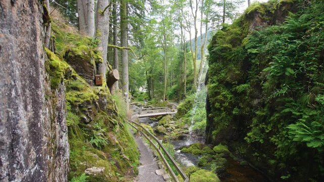 Beautiful natural Waterfall in Menzenschwander cascade in Black Forest Germany Schwarzwald