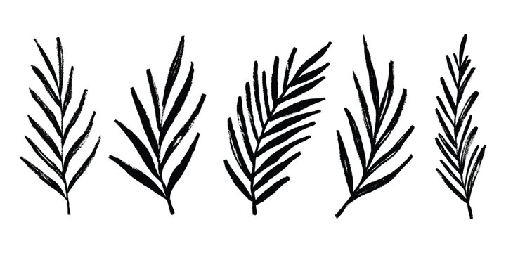 Grunge Brush Palm Leaves Set. Scribble ink palm leaf icon set. Marker, dry paint, crayon tropical vector leaves