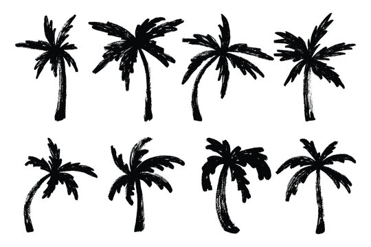 Grunge Brush Palm Trees Icon Set. Scribble ink coconut trees silhouettes. Tropical diverse trees, paintbrush hand drawn , dry ink painted, creative markers and crayons vectorsey. 